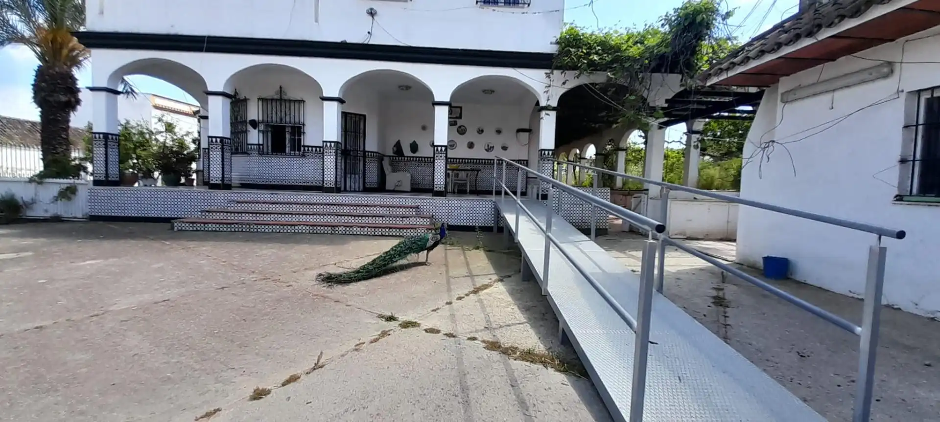 Chalet en venta en Calle Calle de El Ejido, imagen 12