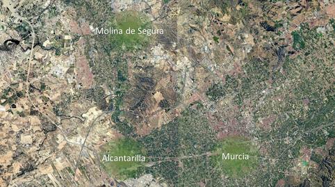 Photo 5 of Land for sale in Carríl Pinos, Churra, Murcia