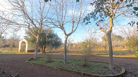 Foto 2 de Casa o xalet en venda a Carretera de Puertollano, Argamasilla de Calatrava, Ciudad Real