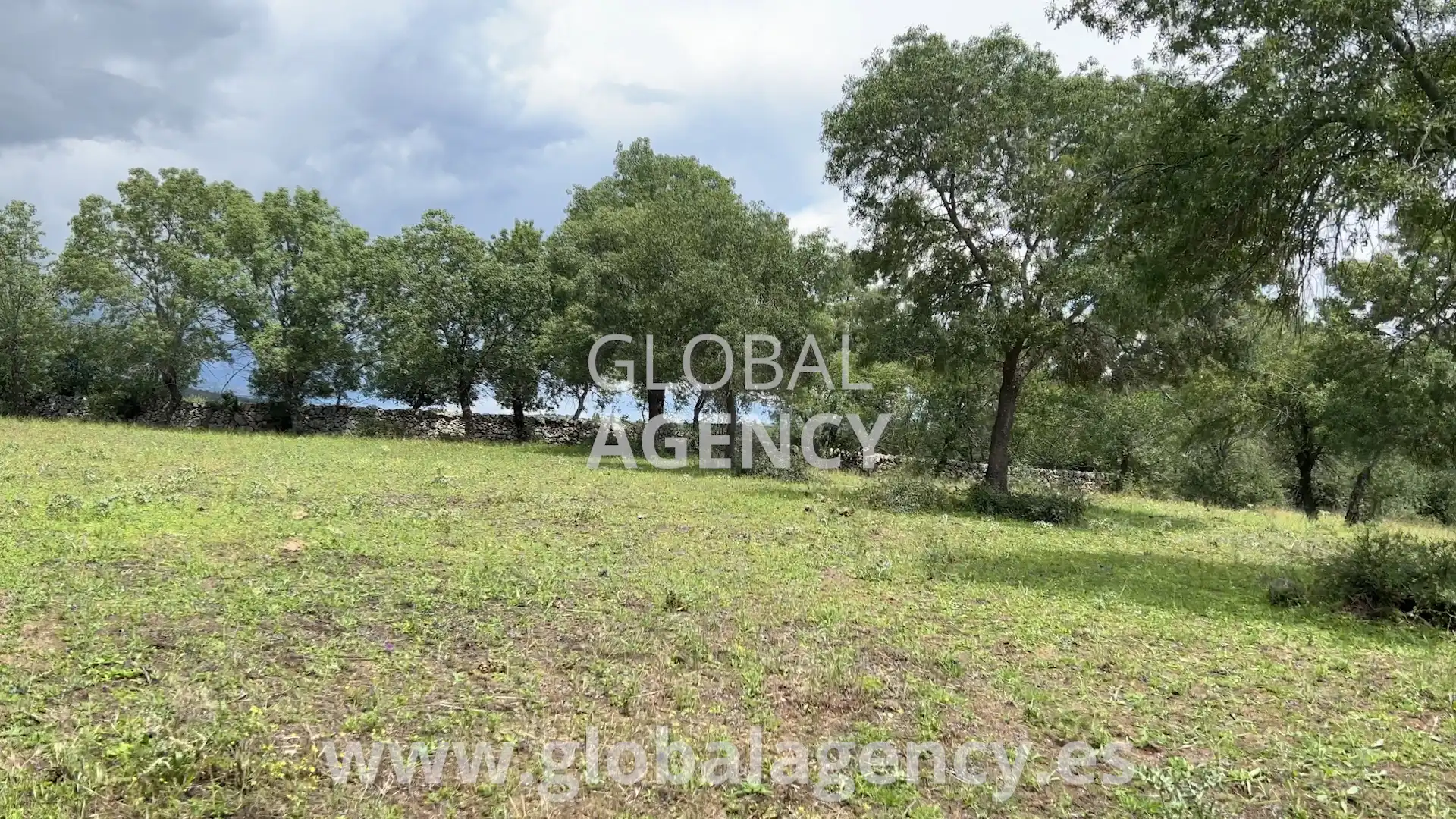 Rural land for sale in Soto del Real, imagen 9
