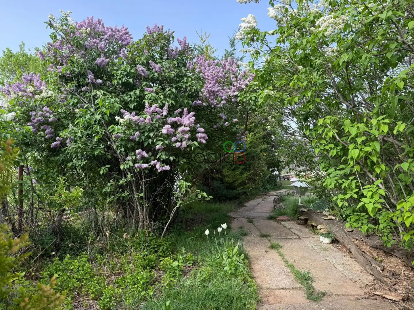Terreno en venta en La Fragua, Ciruelas