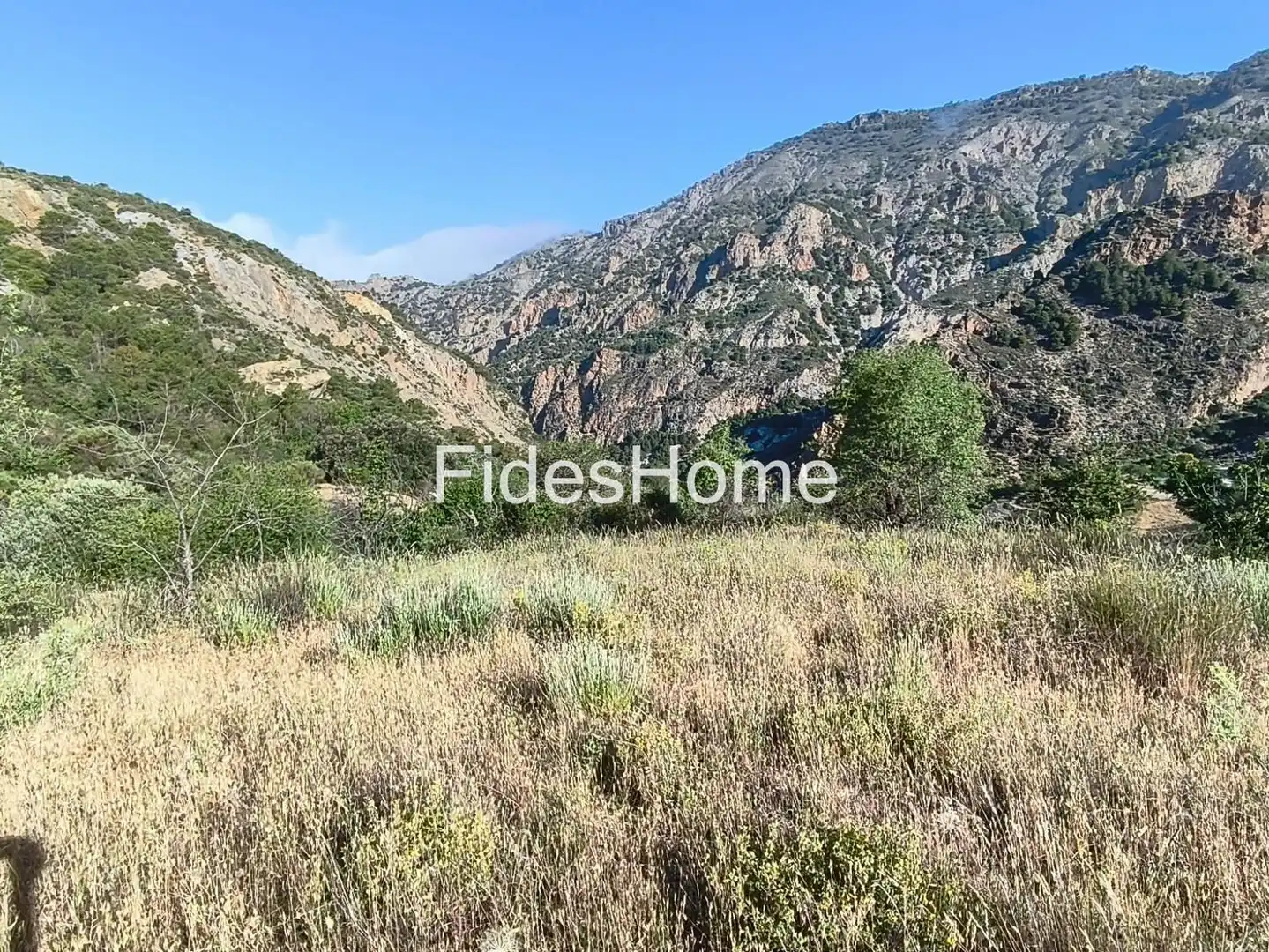 Rural land for sale in XFPP+9QX Nigüelas 0, imagen 7