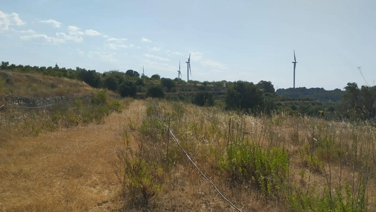 Terreno rústico en venta en Vilalba dels Arcs, imagen 6