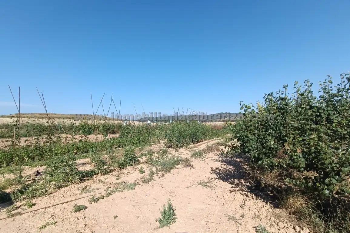 Nave industrial en venta en N/A, La Cava - Fardachón