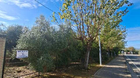 Foto 4 de Residencial en venta en Calle Constantina, 31, La Puebla de los Infantes, Sevilla