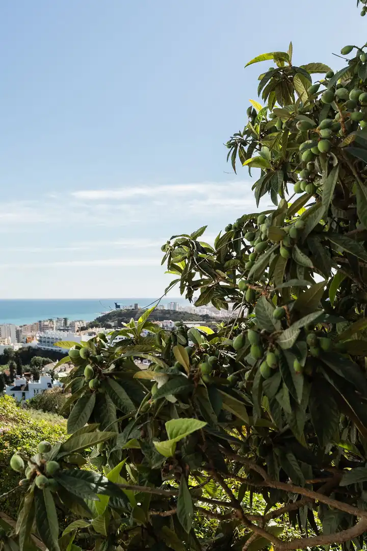 Chalet en venta en Puerto Deportivo, imagen 42