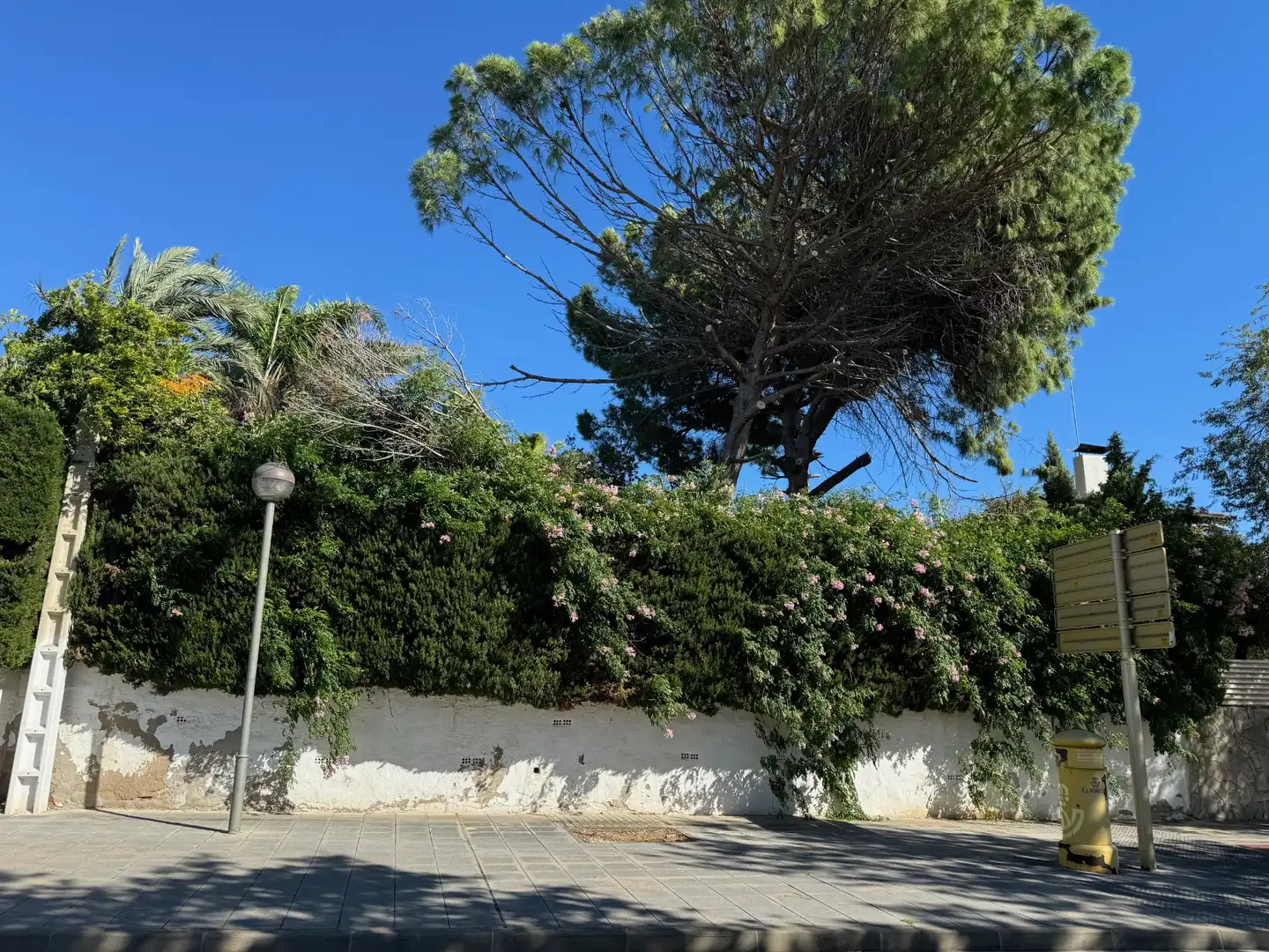 Terreny residencial en venda a Carrer Santiago Rusiñol 31, imagen 14