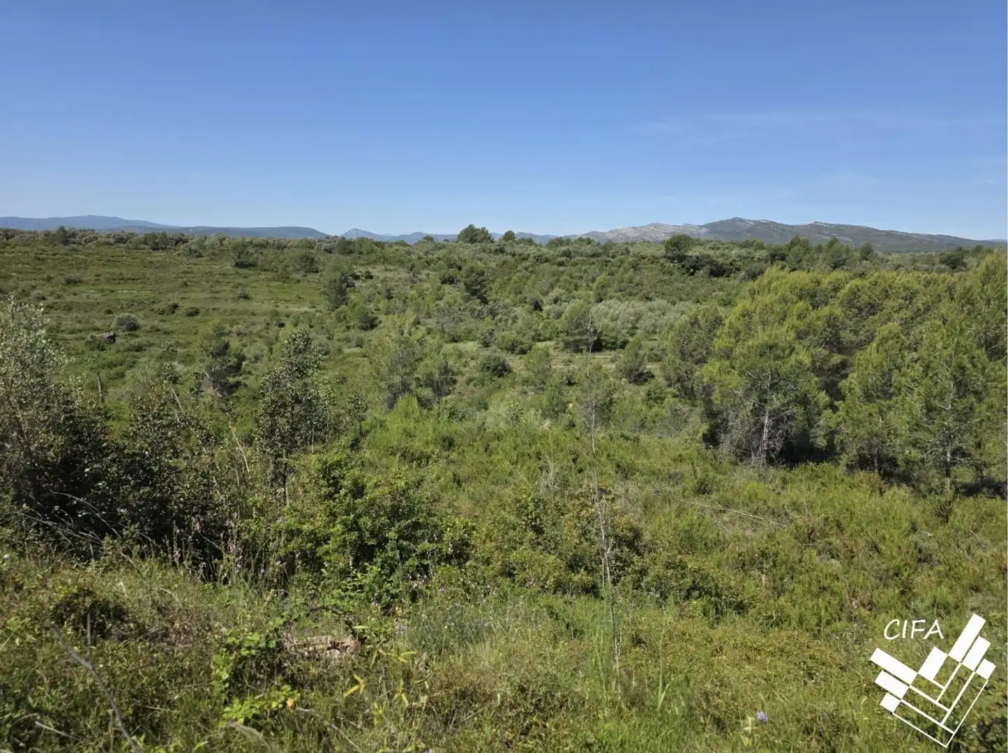 Terrain rustique à vendre à Polígono Sant Mateu, imagen 7