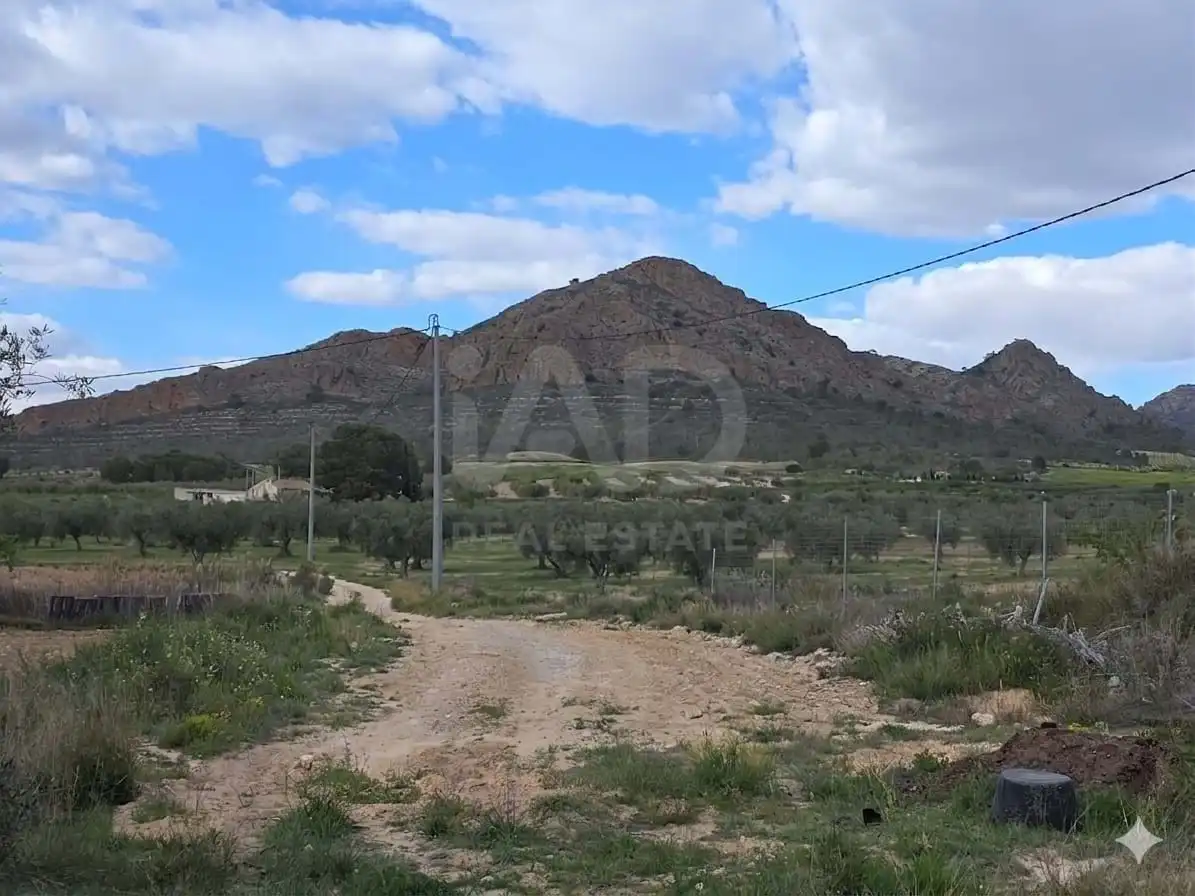 Casa con piscina en venta en Jumilla, imagen 16