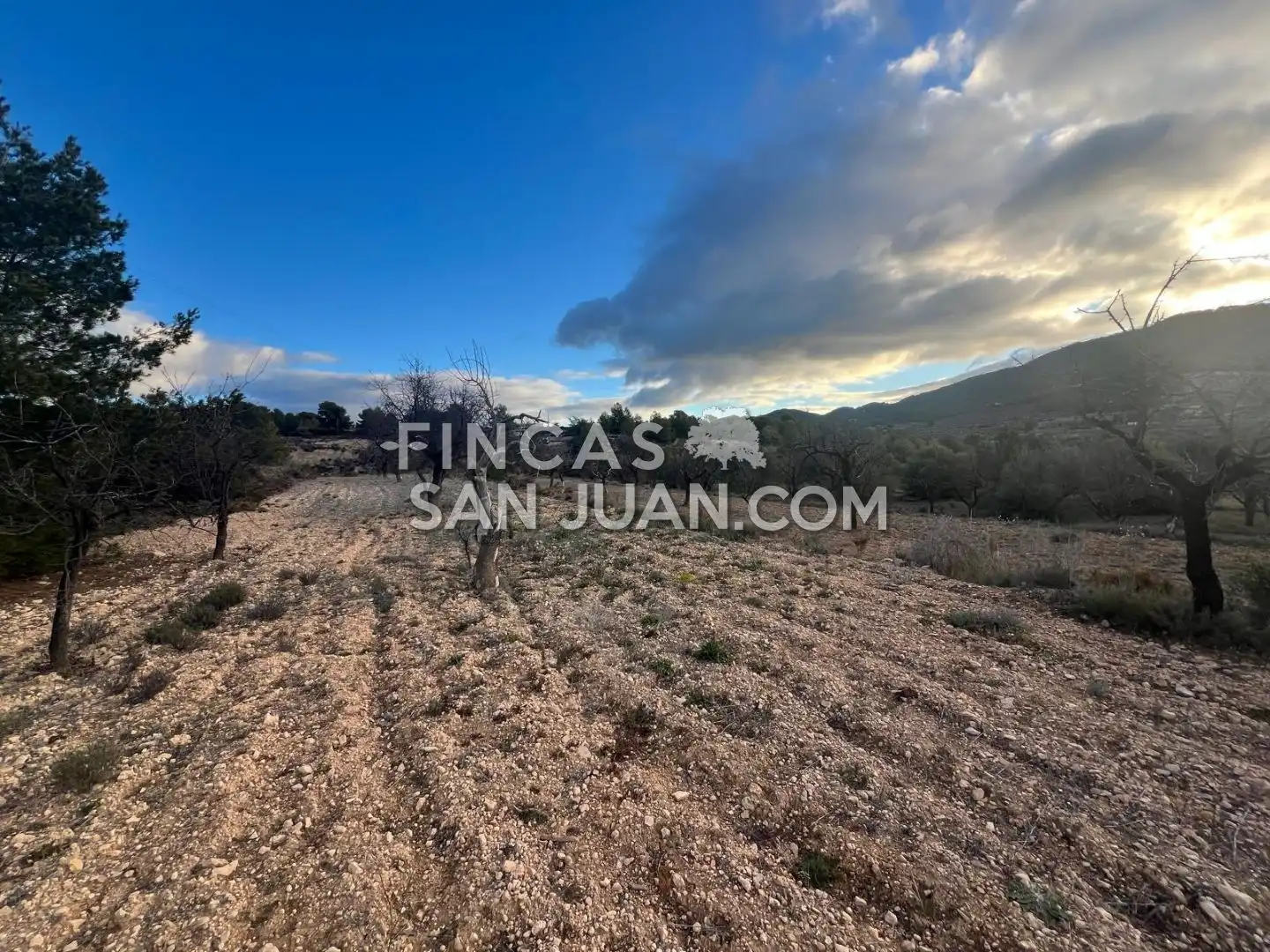 Terreny residencial en venda a Torremanzanas / La Torre de les Maçanes, imagen 5