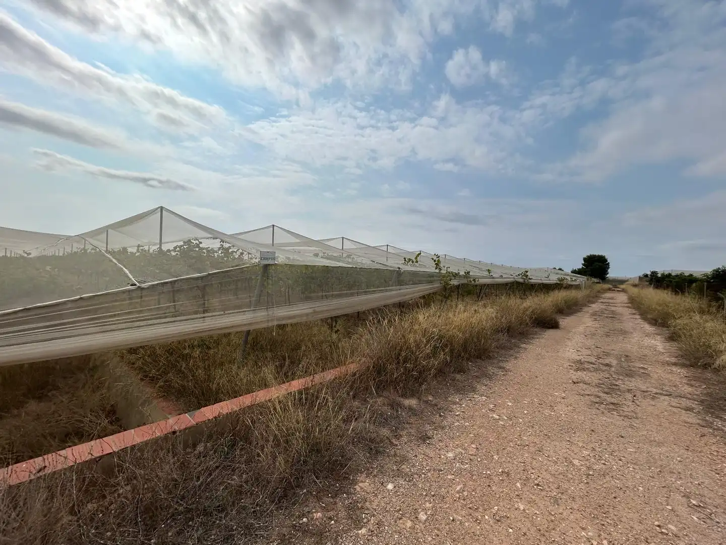 Terreno rustico in vendita a Carrer Lliria, imagen 8