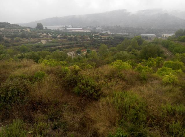 Terreno en Venta en Llocnou de Sant Jeroni