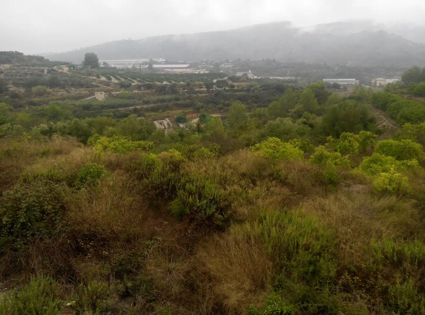 Terreno en venta en Llocnou de Sant Jeroni