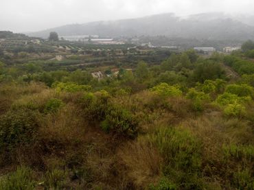 Terreno rustico in vendita a Llocnou de Sant Jeroni
