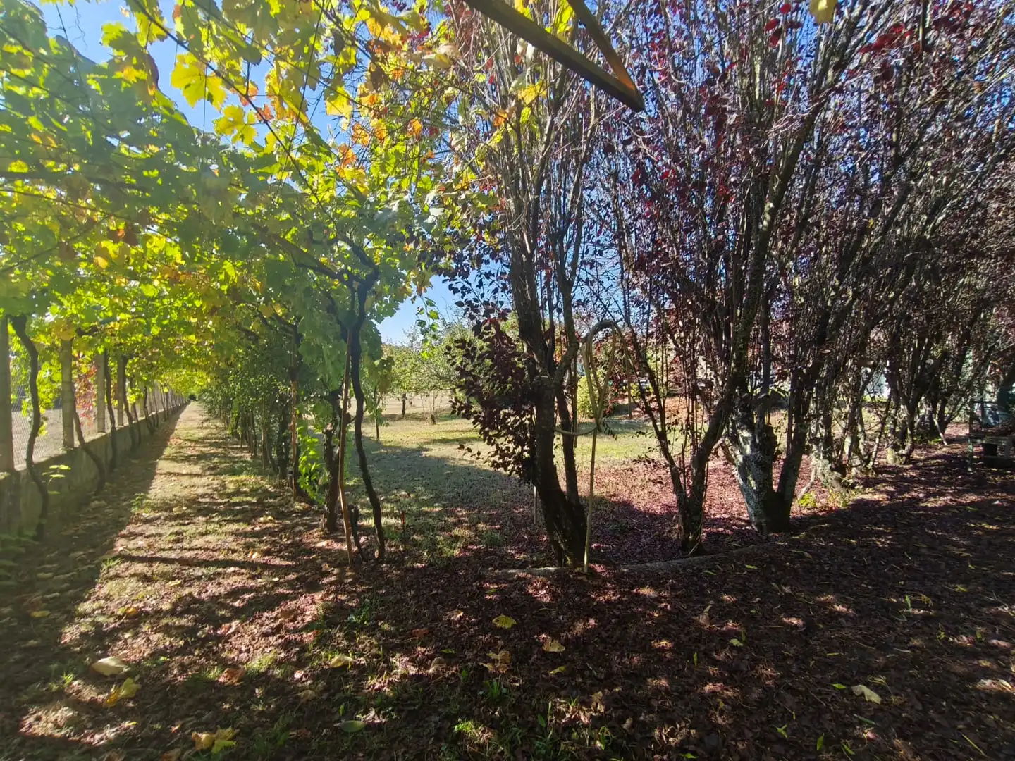 Chalet con terraza en venta en Coles, imagen 45