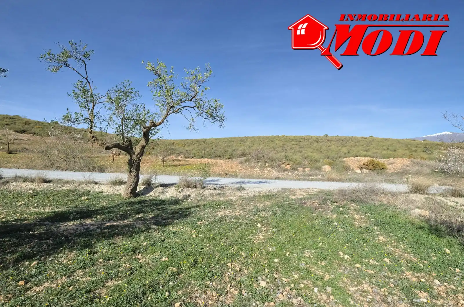 Terreni e lotti in vendita a El Valle, imagen 18
