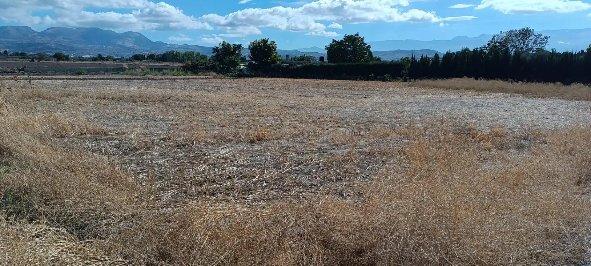 Terrenys i solars en venda a Albolote