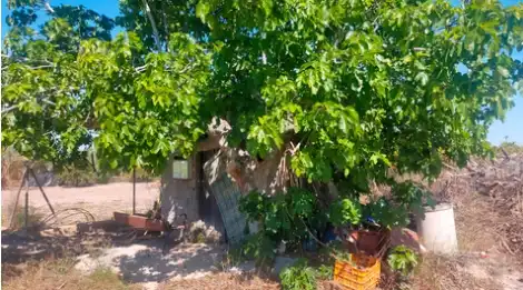 Terrain rustique à vendre à La Foia - Daimés - Asprella, imagen 10