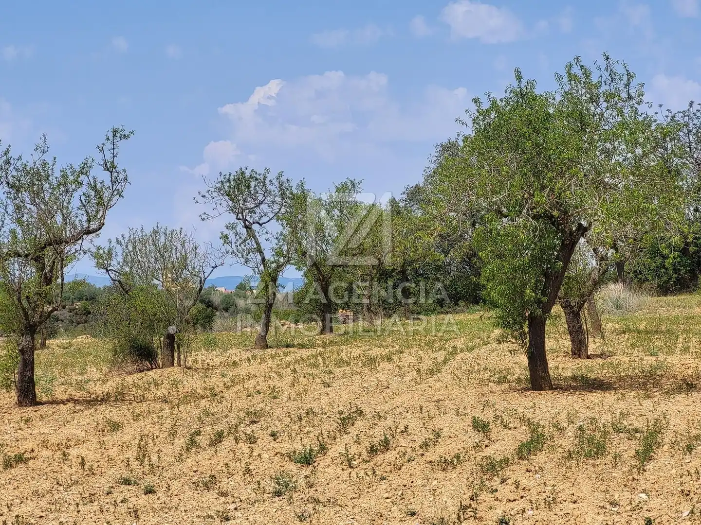 Terreno rustico in vendita a Traiguera, imagen 3