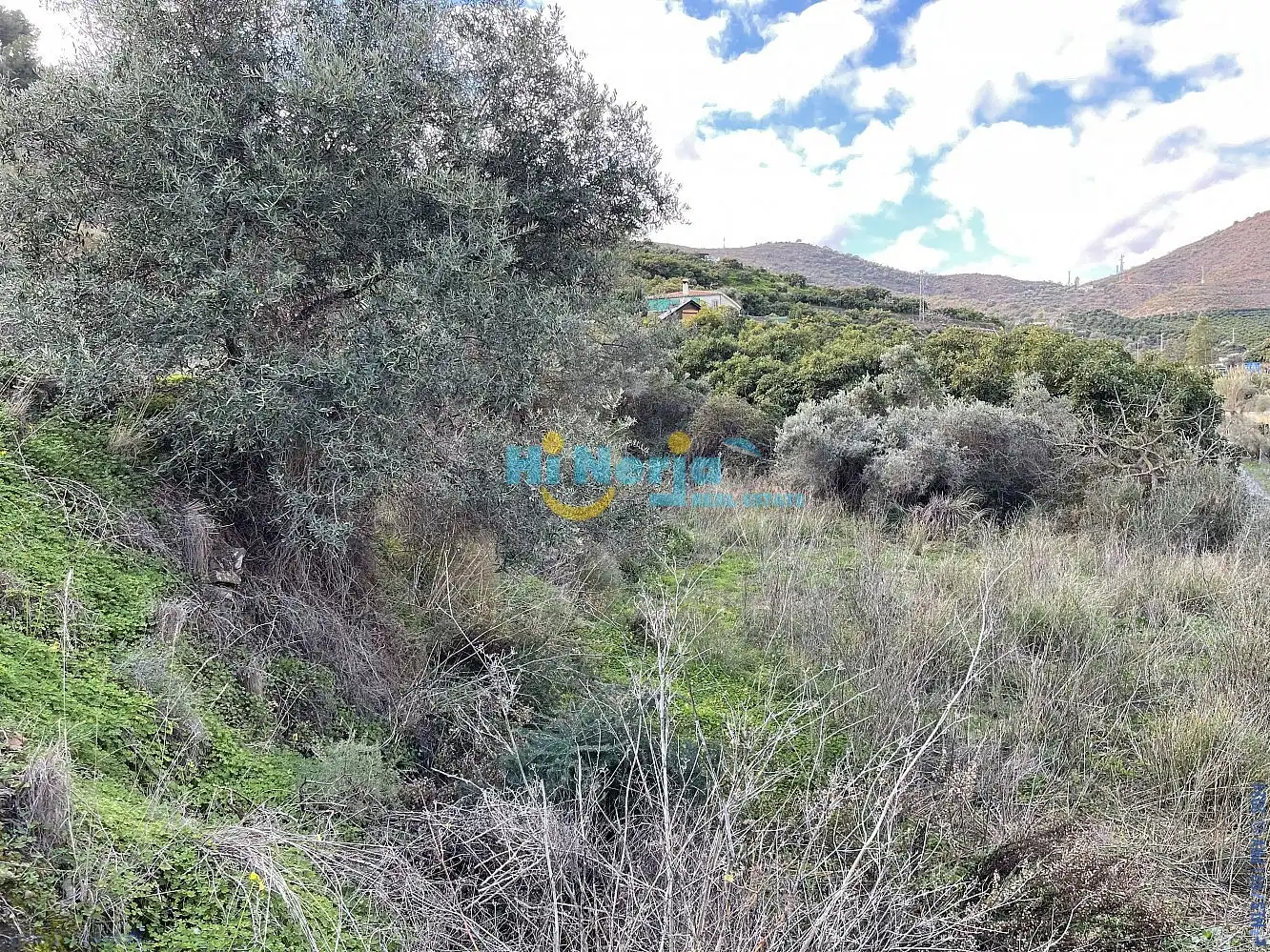 Terreni e lotti in vendita a Centro, imagen 6