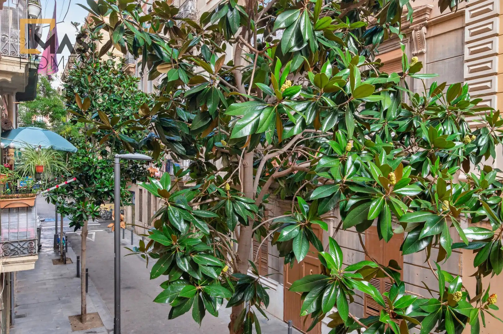 Vista exterior de Casa adosada en venta en Ciutat Vella