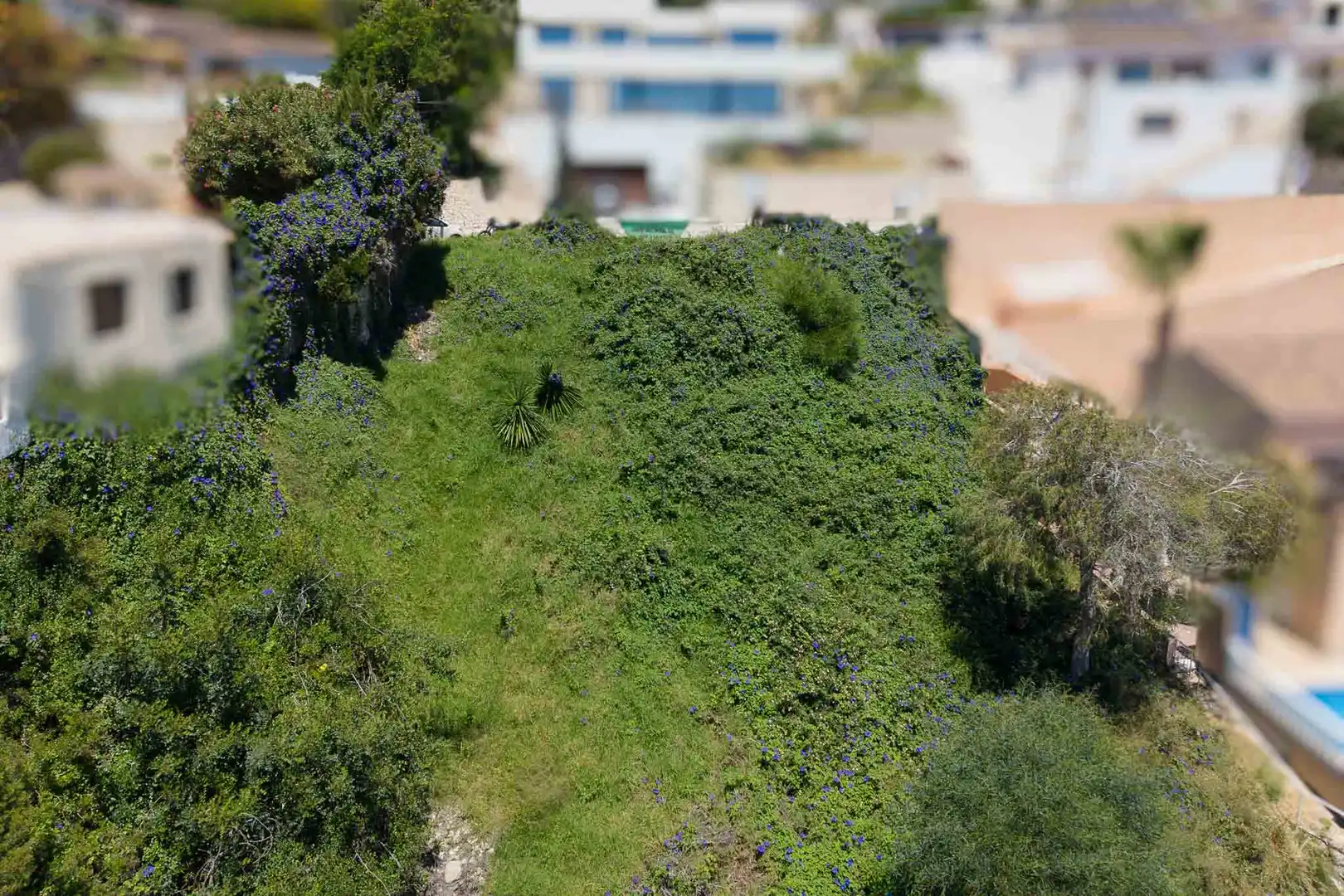 Terreno residencial en venta en El Portet - Pla de Mar, imagen 8