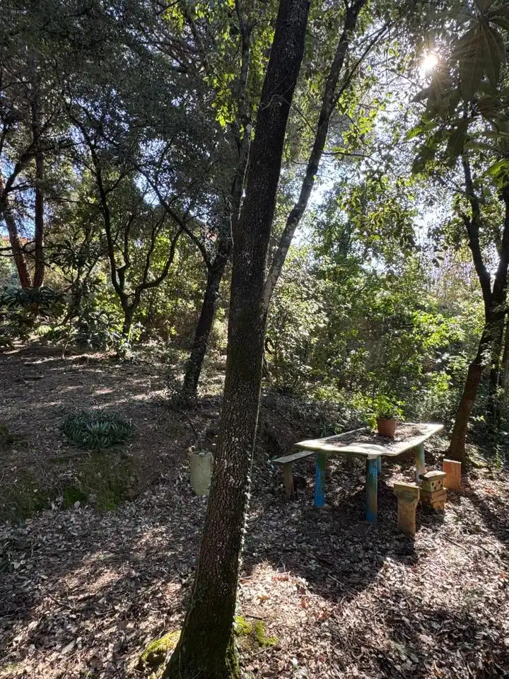 Grundstücke und Bauplätze zum Verkauf in De Lluis Millet, imagen 6