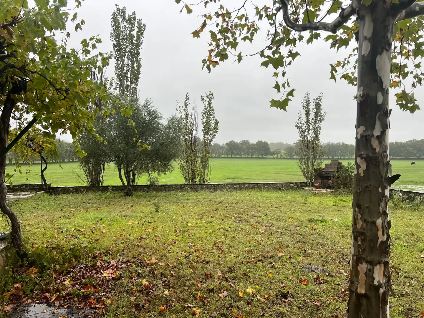 Grundstücke zum Verkauf in Lanzahíta