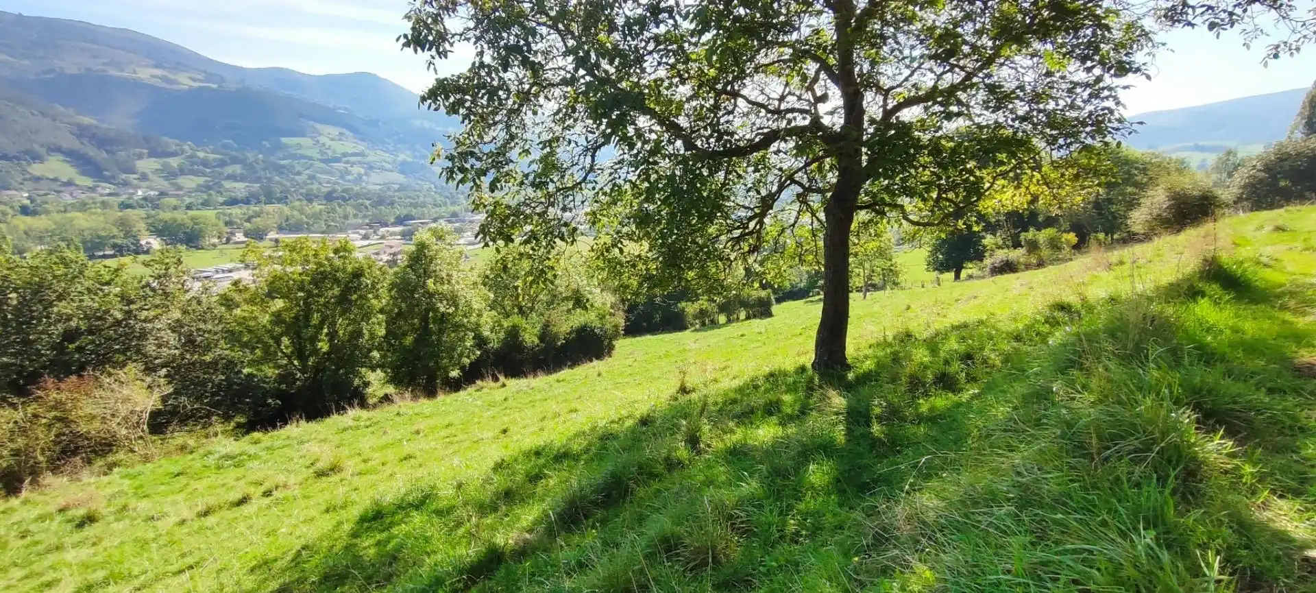 Terreny rústic en venda a Corvera de Toranzo