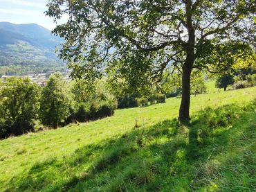 Terreno rústico en venta en Corvera de Toranzo