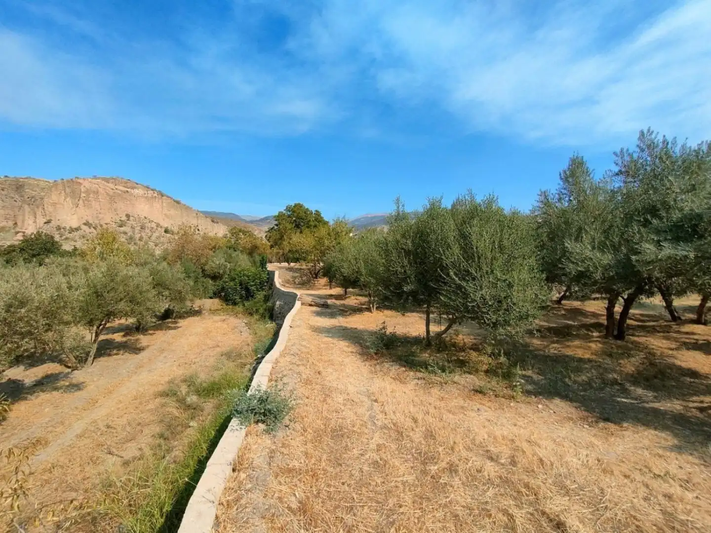 Grundstücke und Bauplätze zum Verkauf in Ugíjar, imagen 7