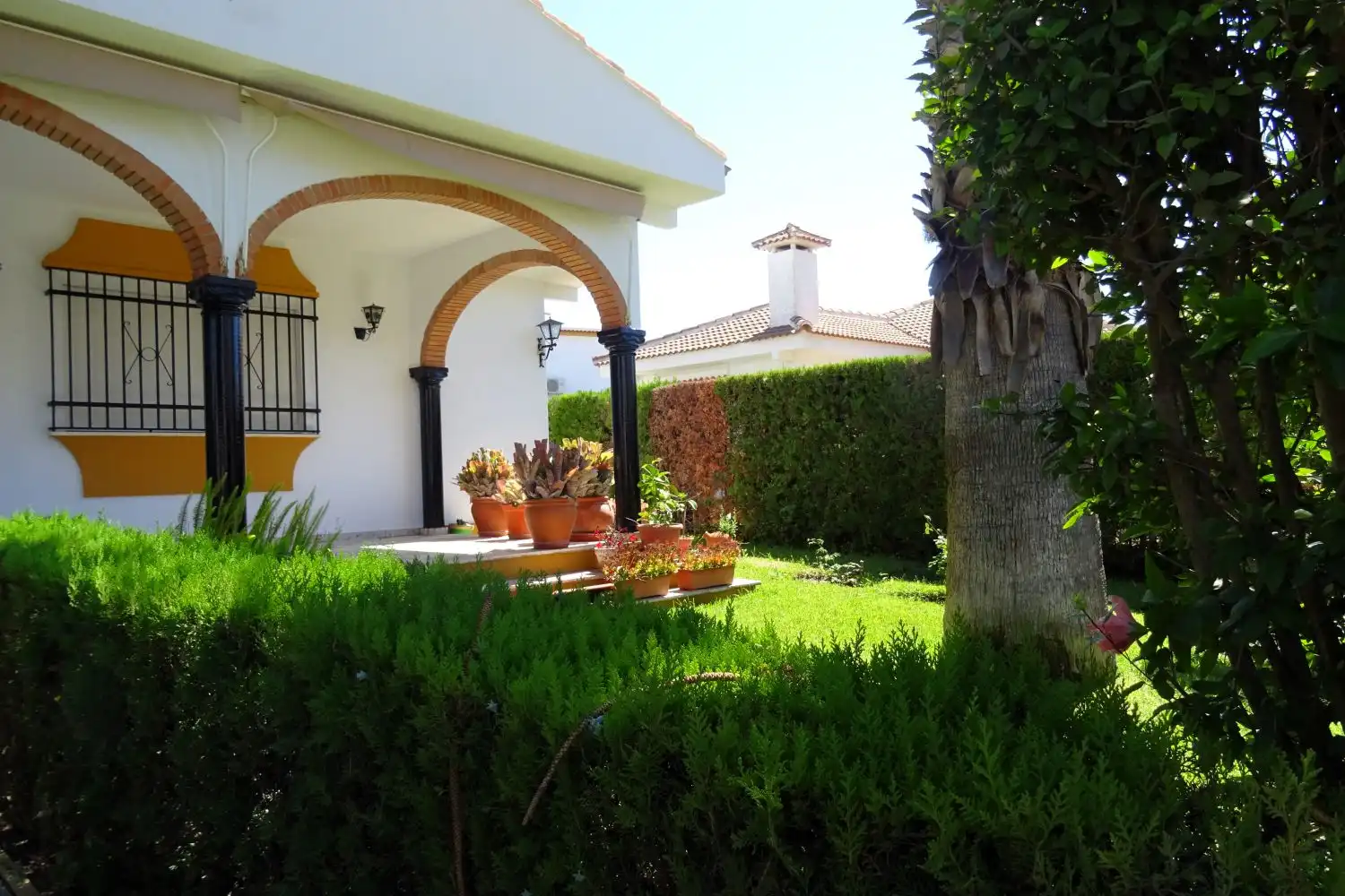 Chalet en venta en Matalascañas, imagen 6