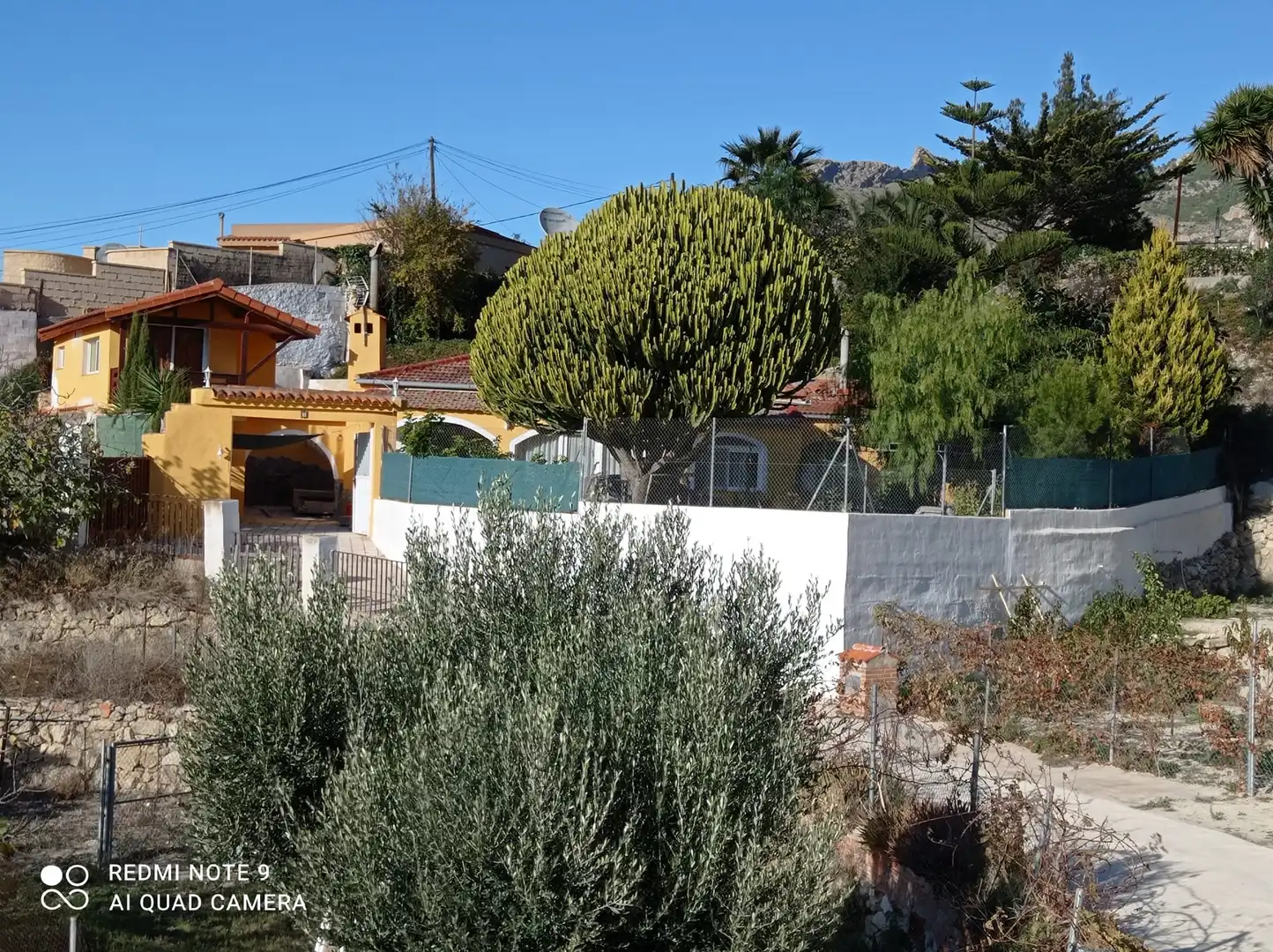 Vista exterior de Casa o chalet en venta en Petrer