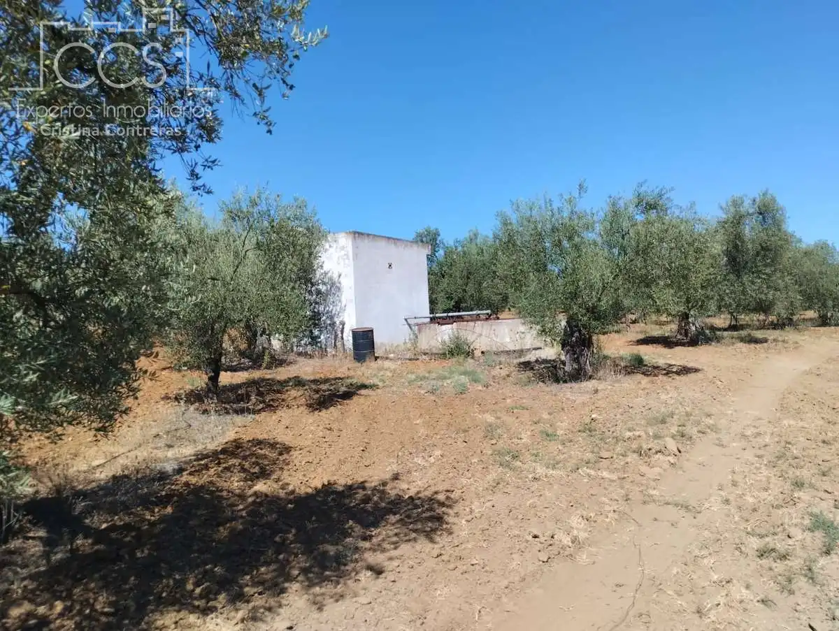 Terreni e lotti in vendita a Almonte ciudad, imagen 11
