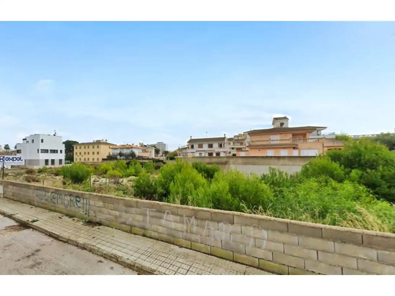 Rural land for sale in Calle mosen llorenc riber 8, imagen 2