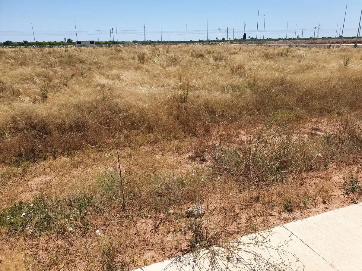 Terreno industriale in vendita a Nules, imagen 11