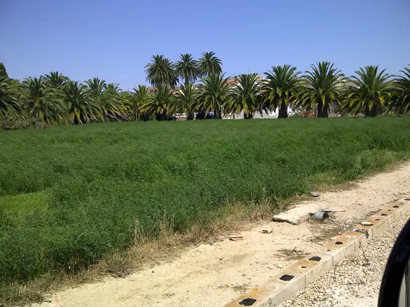 Wohnbaugrundstück zum Verkauf in Ramon Llull, imagen 3