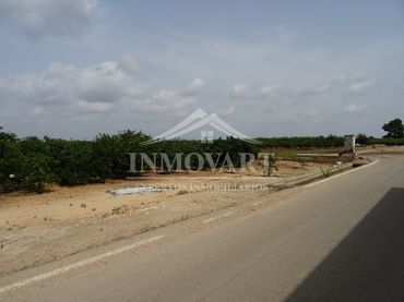 Terreno rustico in vendita a Algemesí