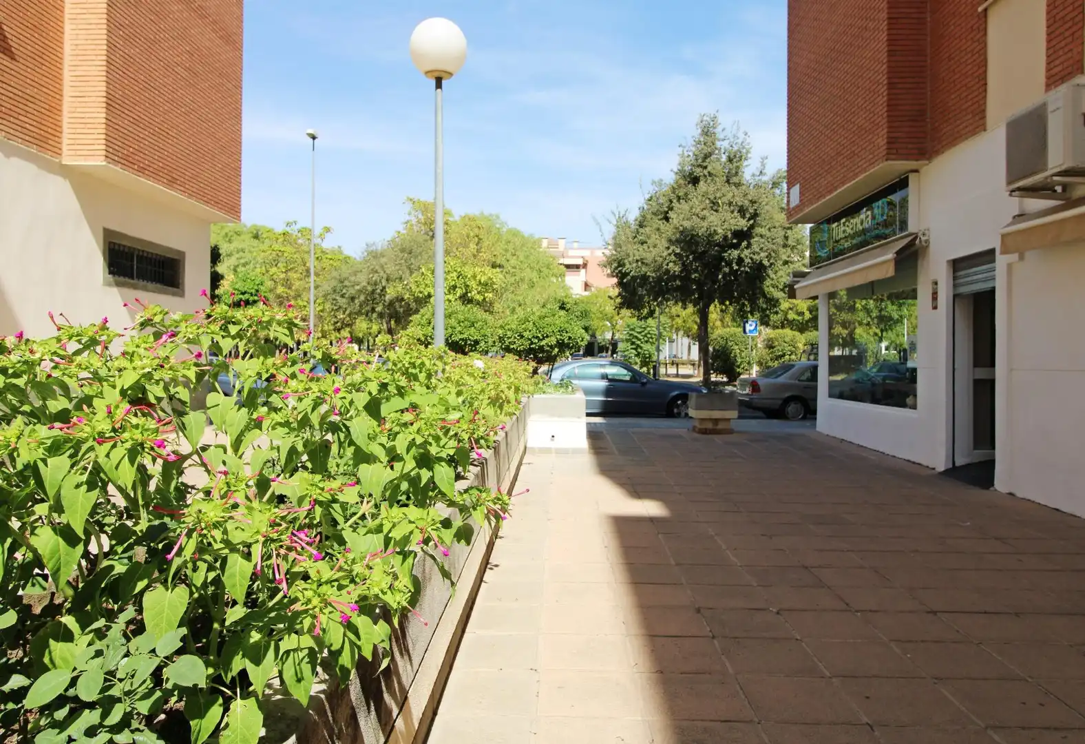 Flat with lift for sale in Noroeste, imagen 30