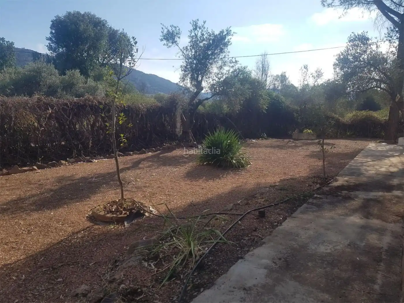 Casa amb jardí en venda a Calle Tapijo 50, imagen 6