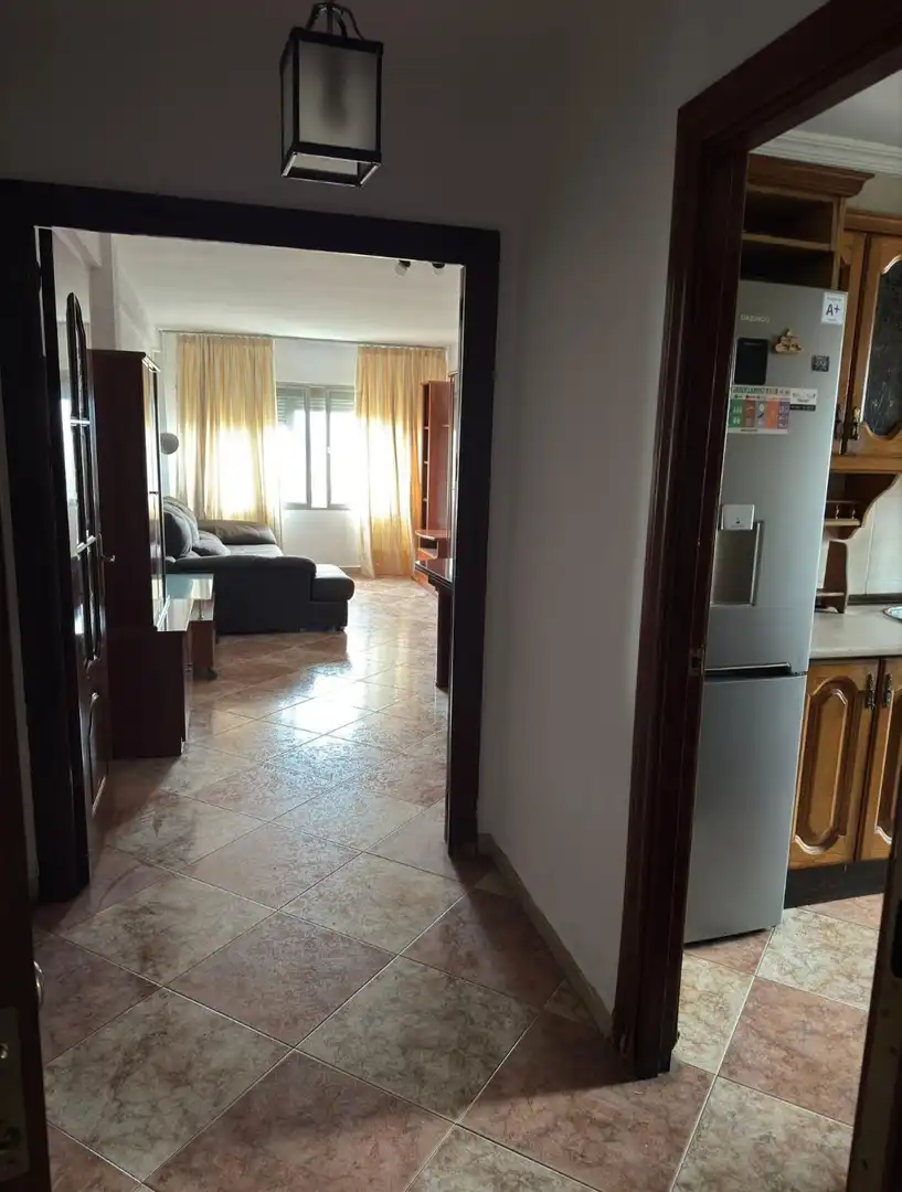 Sala d'estar de Pis en venda en Málaga