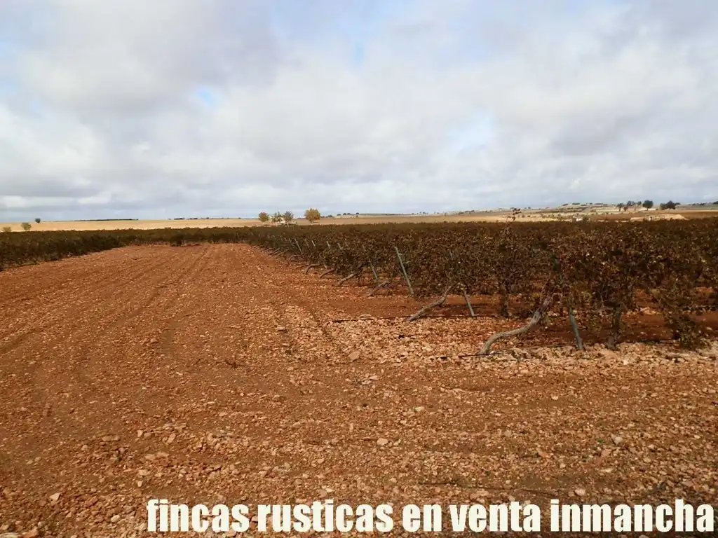 Terreno rústico en venta en Calle Socuéllamos 129, imagen 3