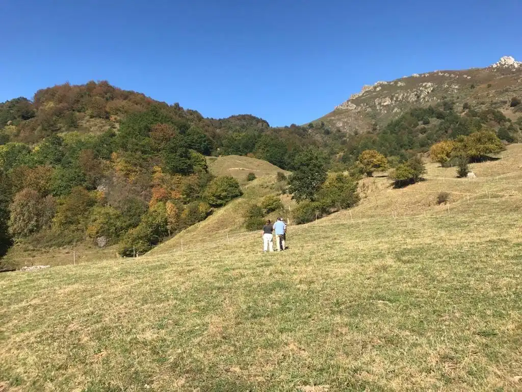 Terreni e lotti in vendita a Vega de Liébana, imagen 15