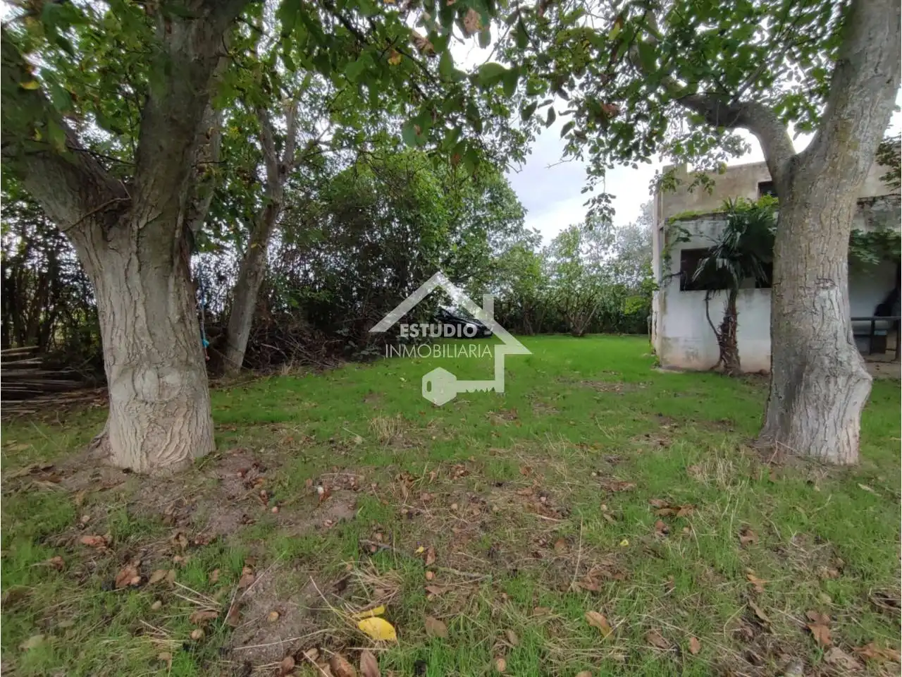 Terreno rustico in vendita a Mendavia, imagen 11