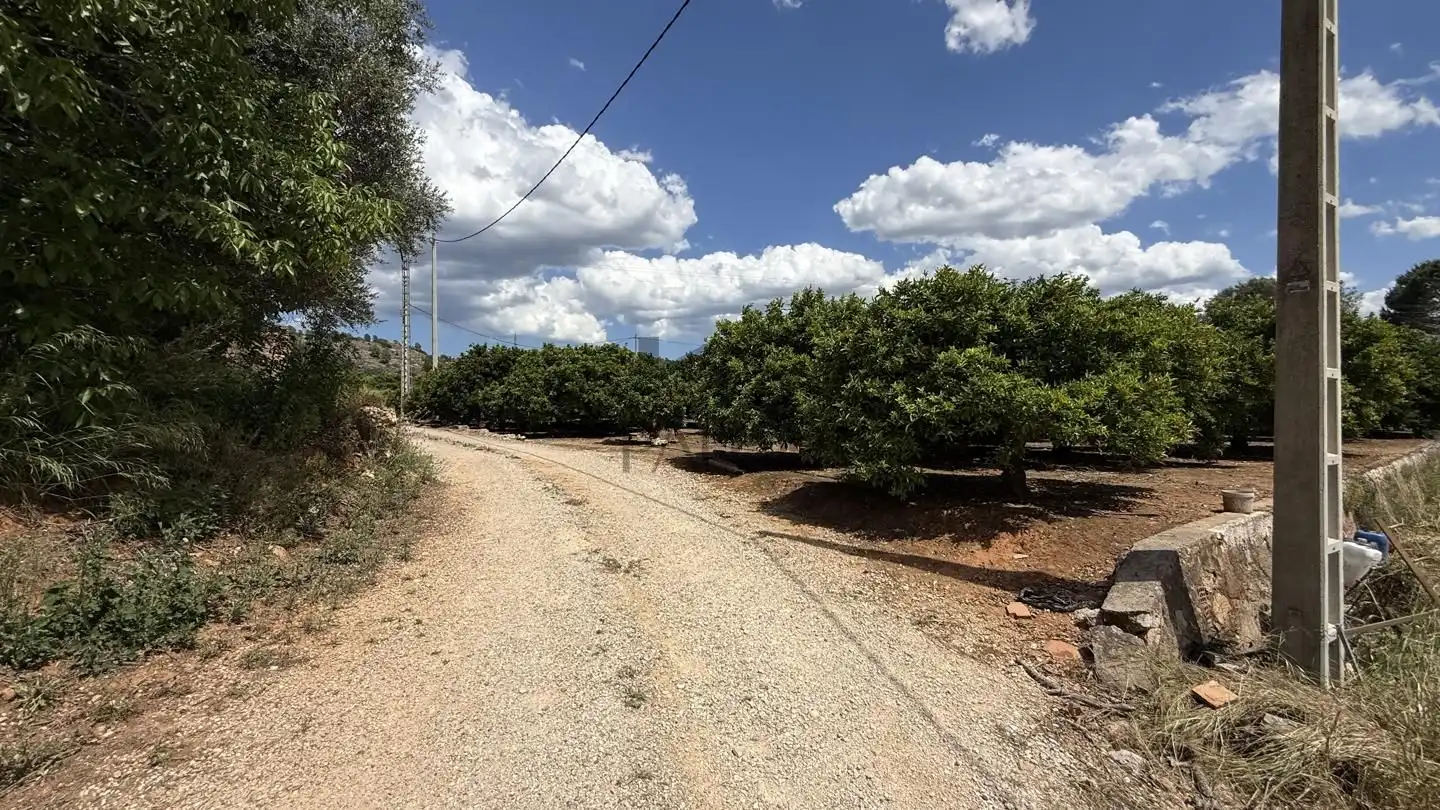 Terrain rustique à vendre à La Pobla Llarga, imagen 12