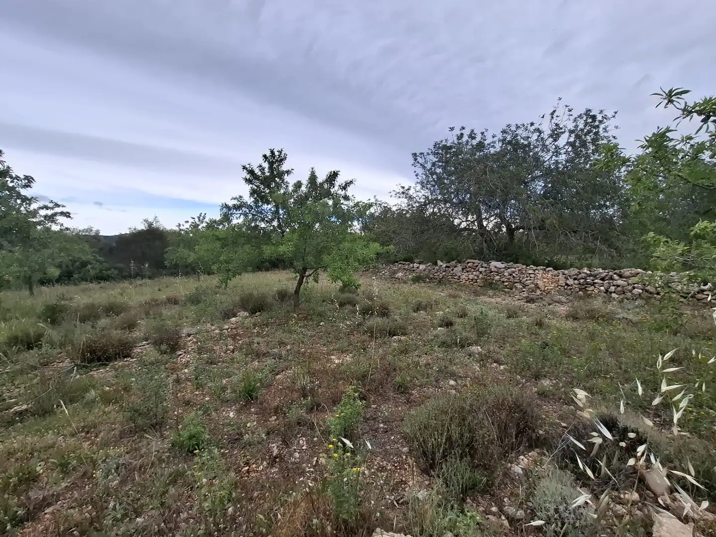 Land for sale in Mont-roig del Camp