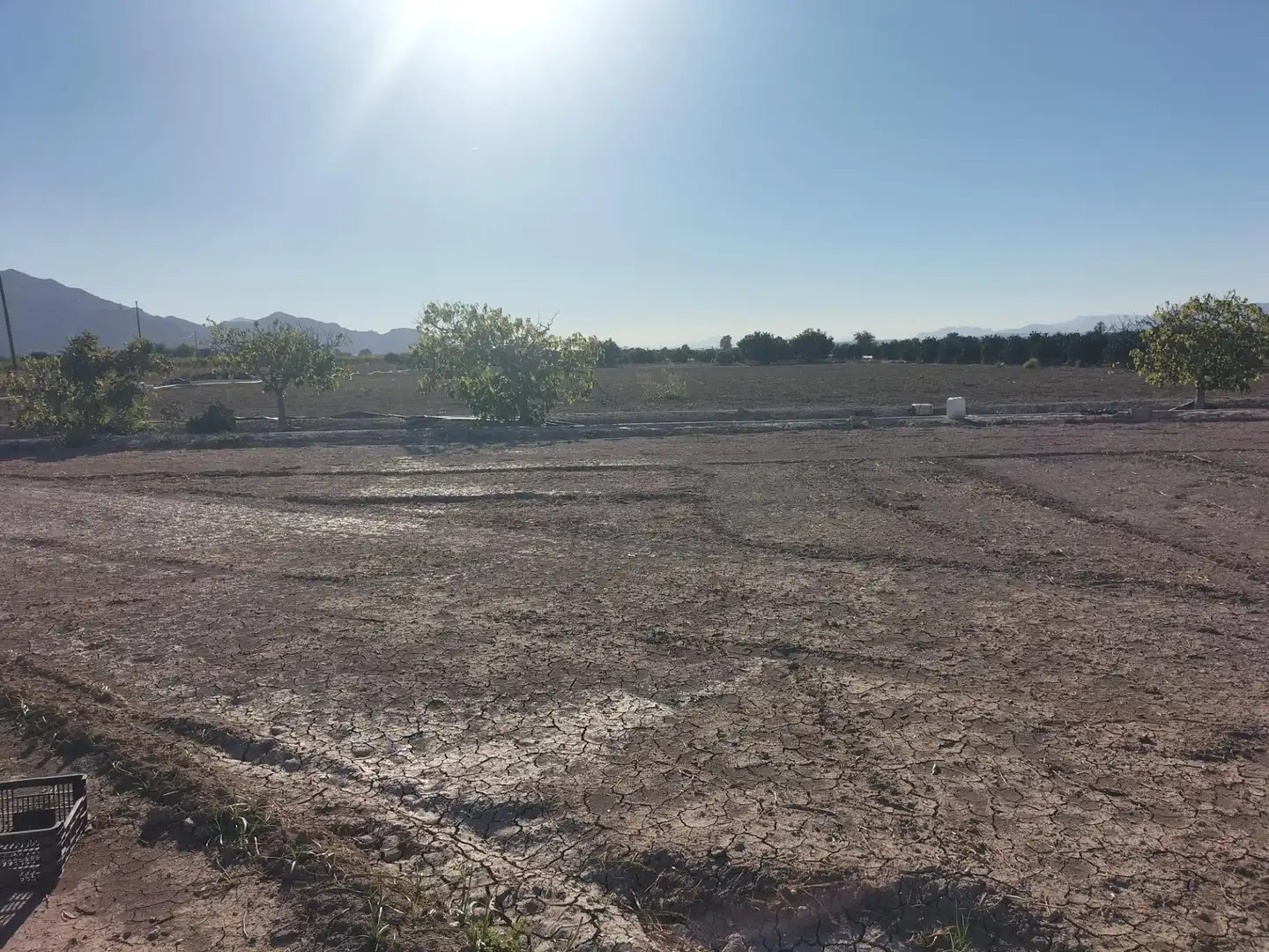 Casa rústica en venda a Granja de Rocamora, imagen 29