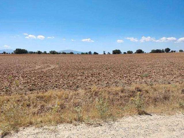 Terreno en Venta en Calle Calleja, 7 en Sotillo