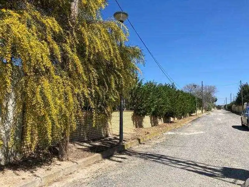 Exterior view of Houses for sale in Carmona  with Storage room and Swimming Pool