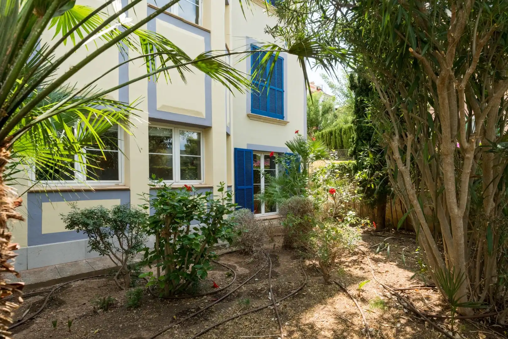 Vista exterior de Planta baixa en venda en Calvià amb Terrassa i Piscina comunitària